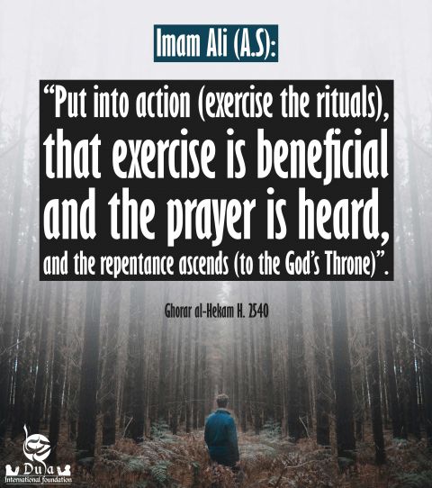 Imam Ali (A.s) Quotes  Sahife Sajjadiya 