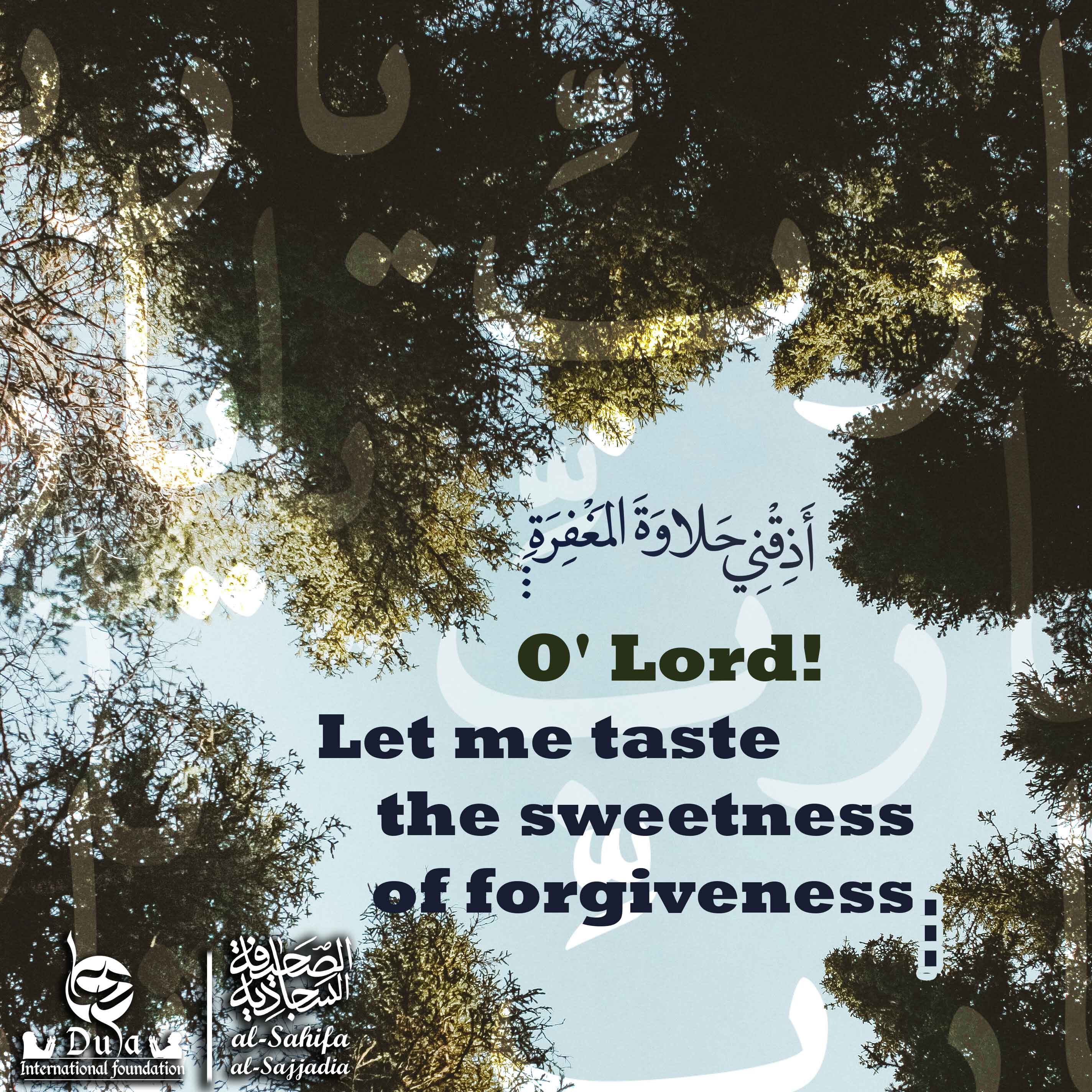 Sahifah Sajjadiyah Quotes  sahife sajjadieh 